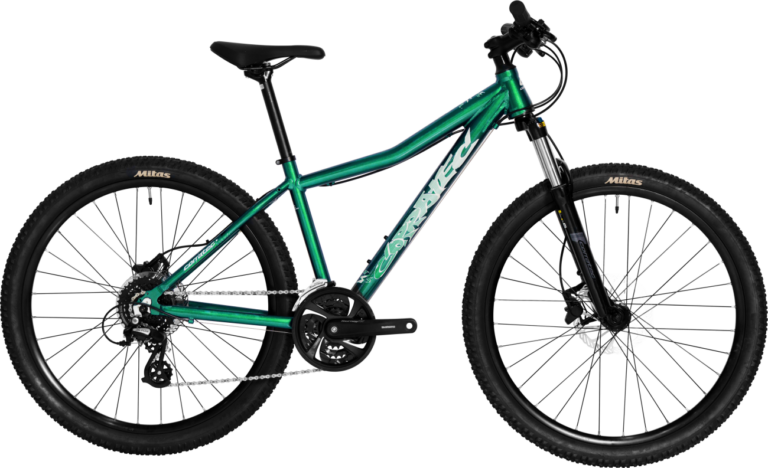 Corratec X-Vert Rock